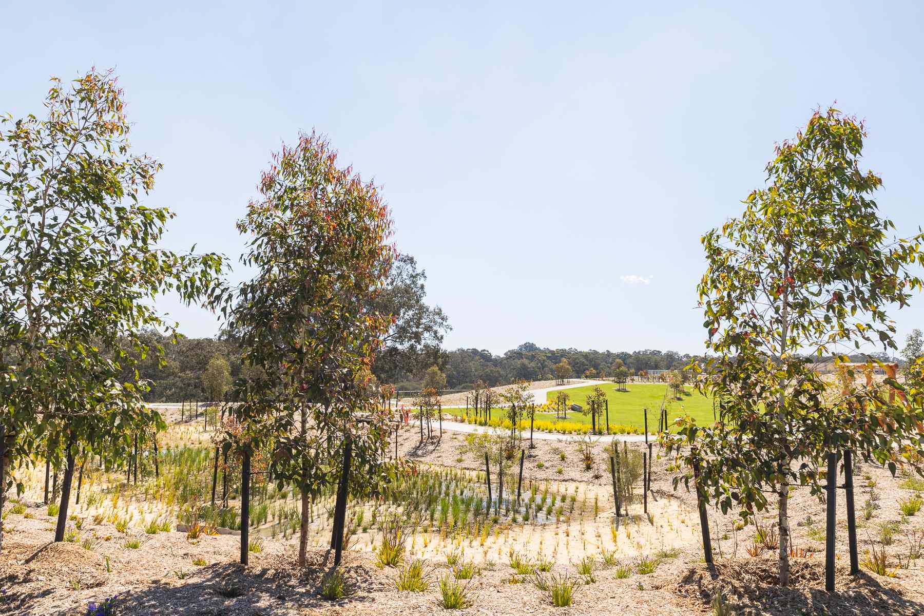 [Land for Sale] Clementine Estate, Upper Swan OpenLot